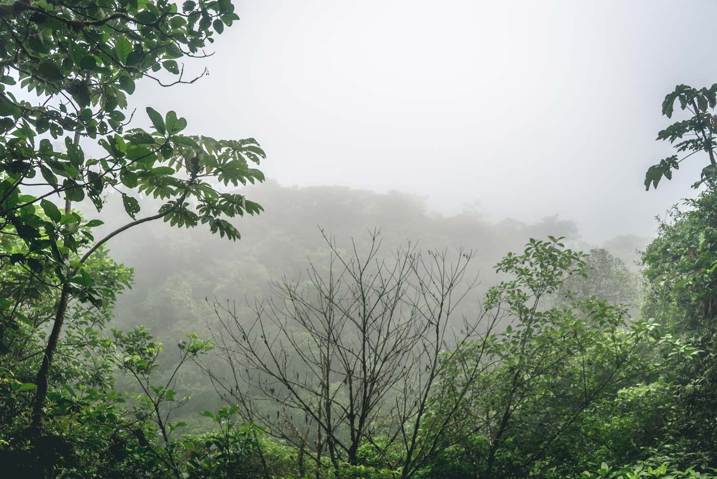 The lookout (mirador) at the Tenorio National Park. Best viewed in clear weather