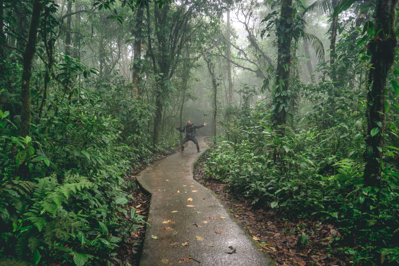 Rainy day in Tenorio National Park