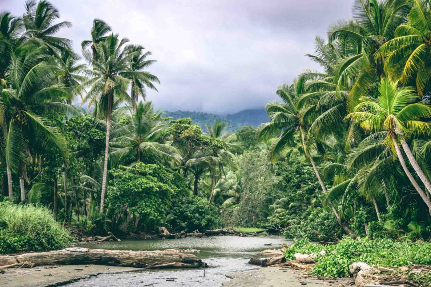 Guide to Ecotourism in Costa Rica