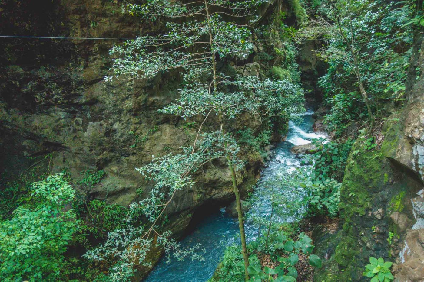 Zip lining in Rincon de la Vieja National Park in Costa Rica