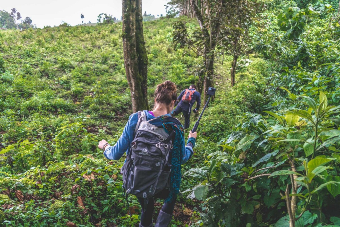 Bwindi National Park mountain trekking