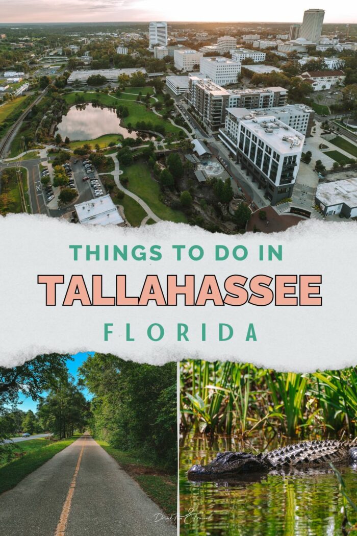DTT Things to do in Tallahassee pin