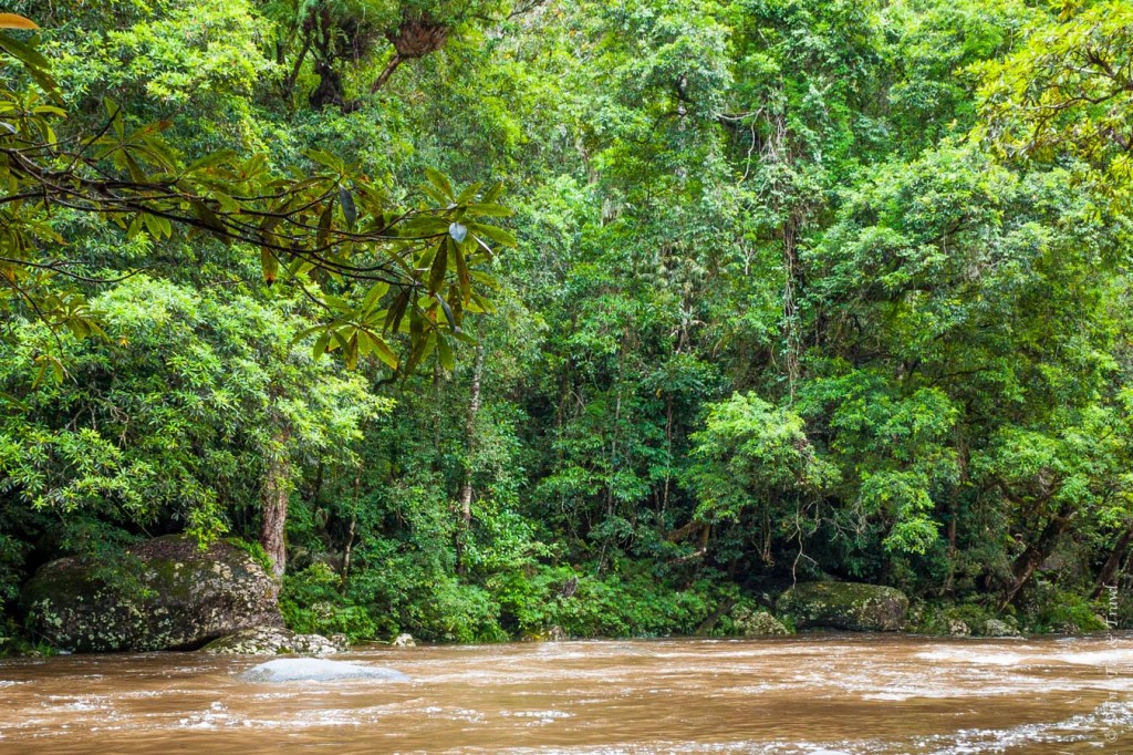 Mossman Gorge, Daintree National Park