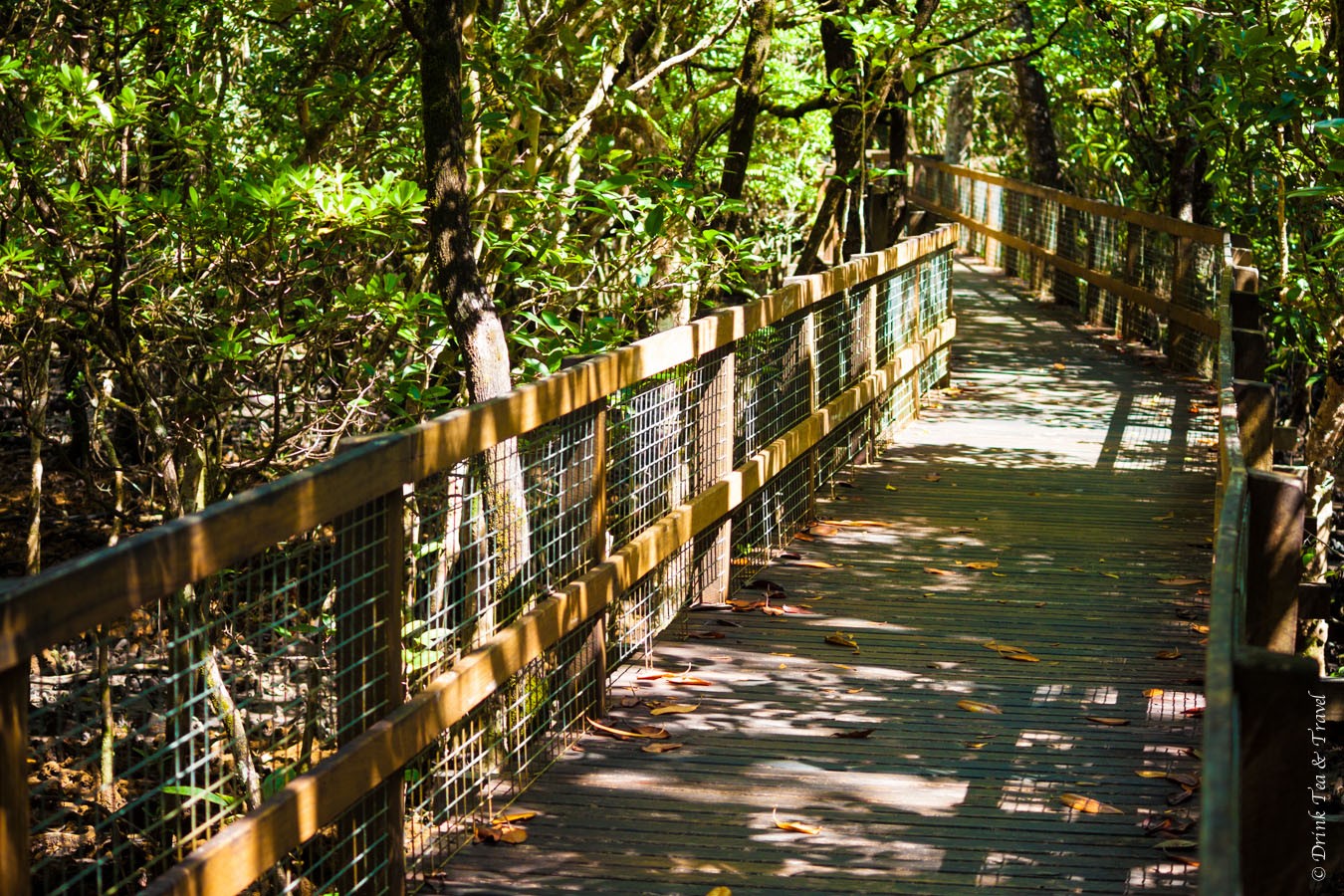 Boardwalk along the Marrja Botanical Walk