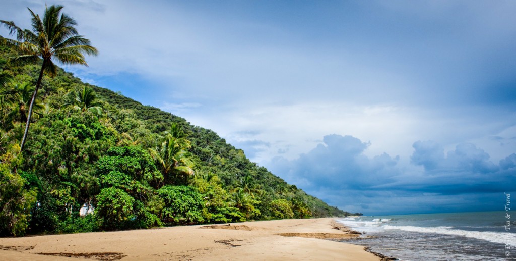 Daintree National Park