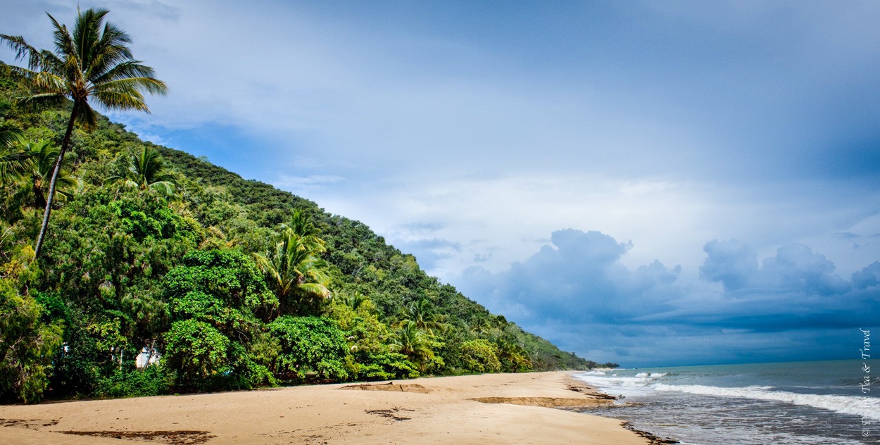 Daintree National Park, best things to do in australia