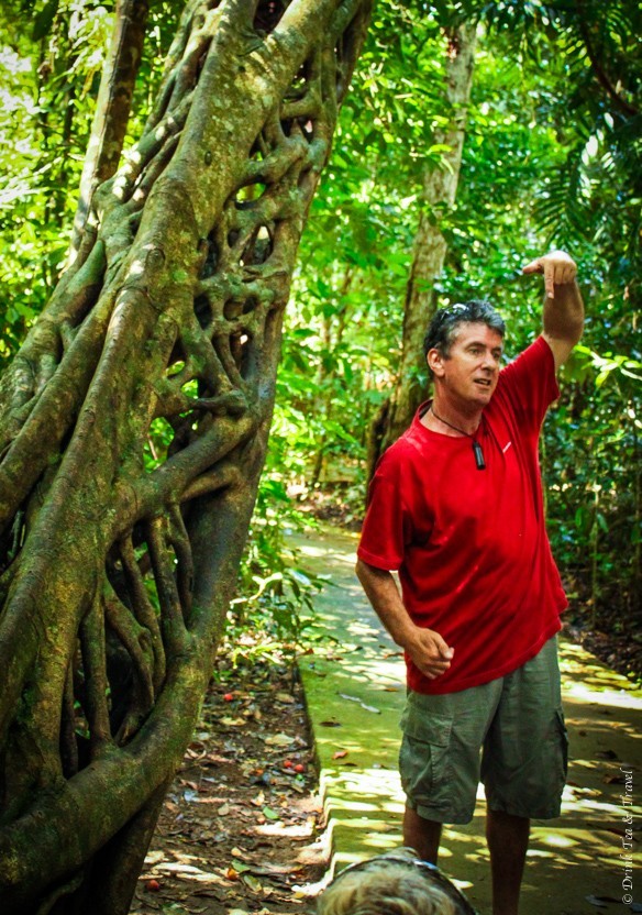 Following our guide through the Daintree Rainforest
