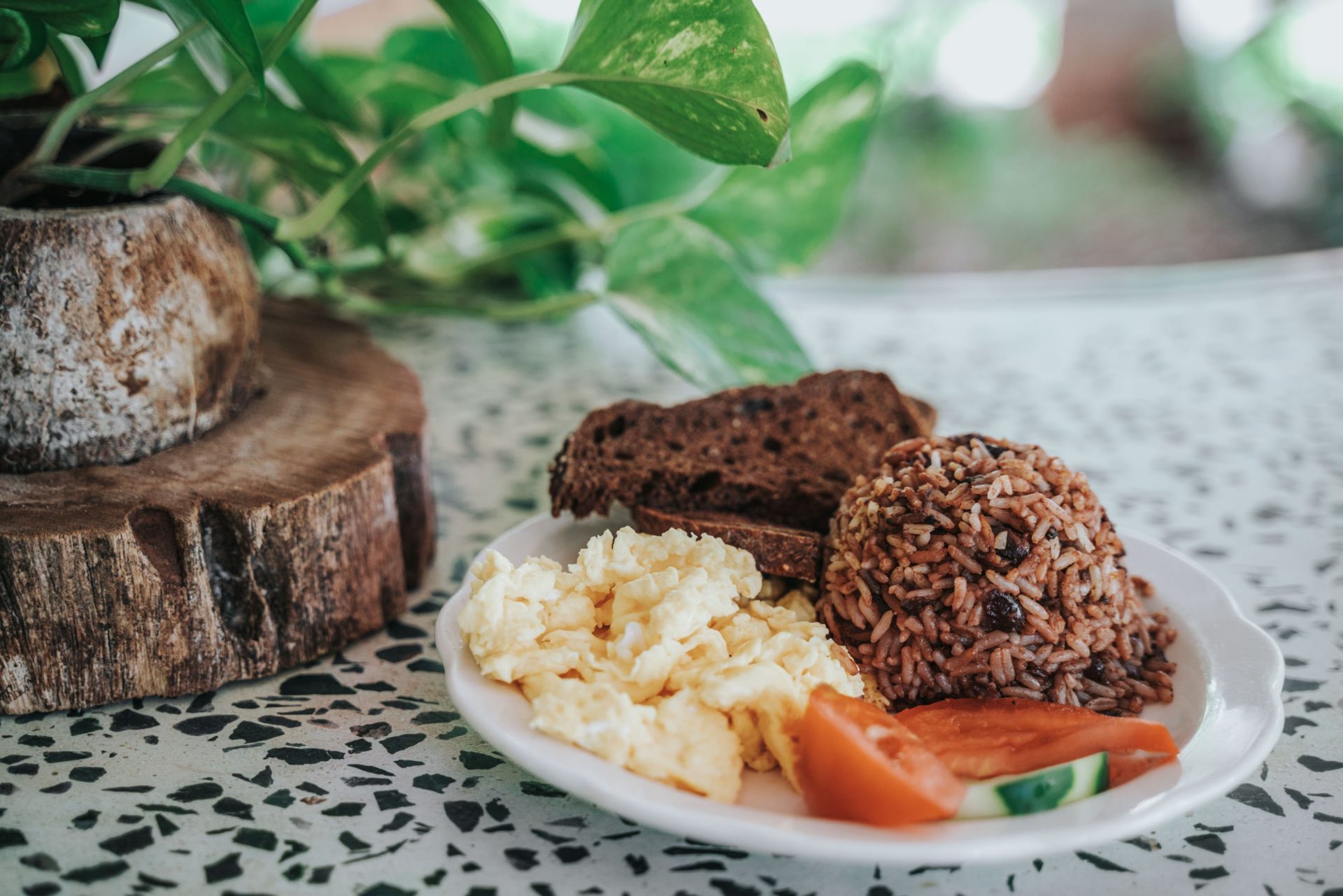 Traditional Costa Rican food Gallo Pinto