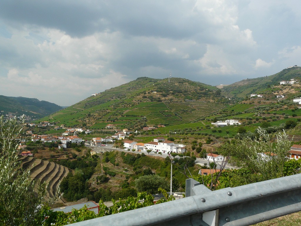 View of Duoro Valley vineyards