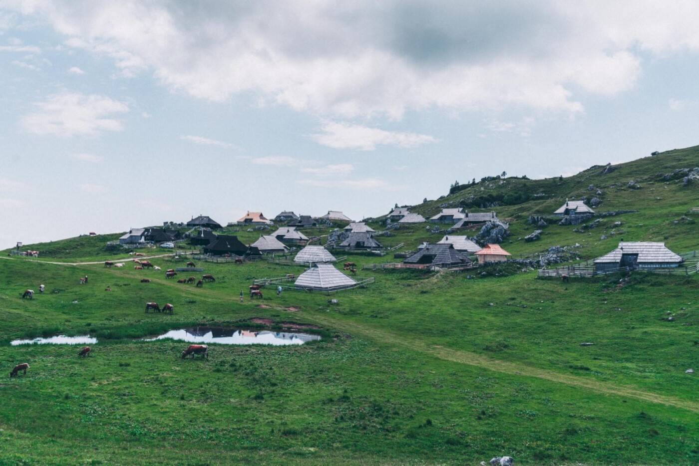 things to do in slovenia on holiday: Velika Planina