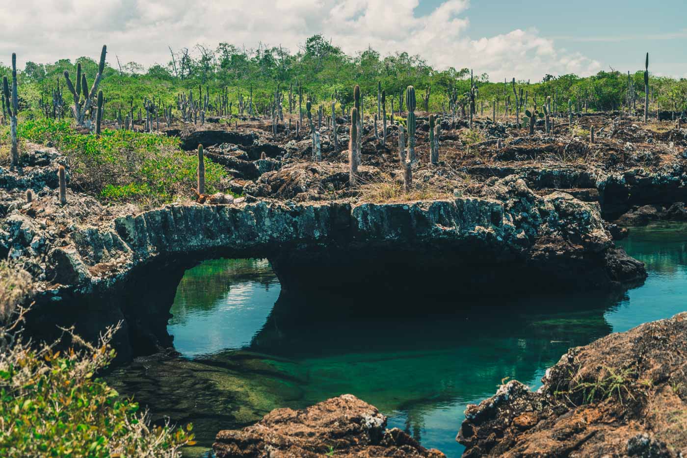 The Tunnels on Isabela Island, Galapagos