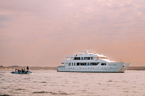 galapagos islands when to go