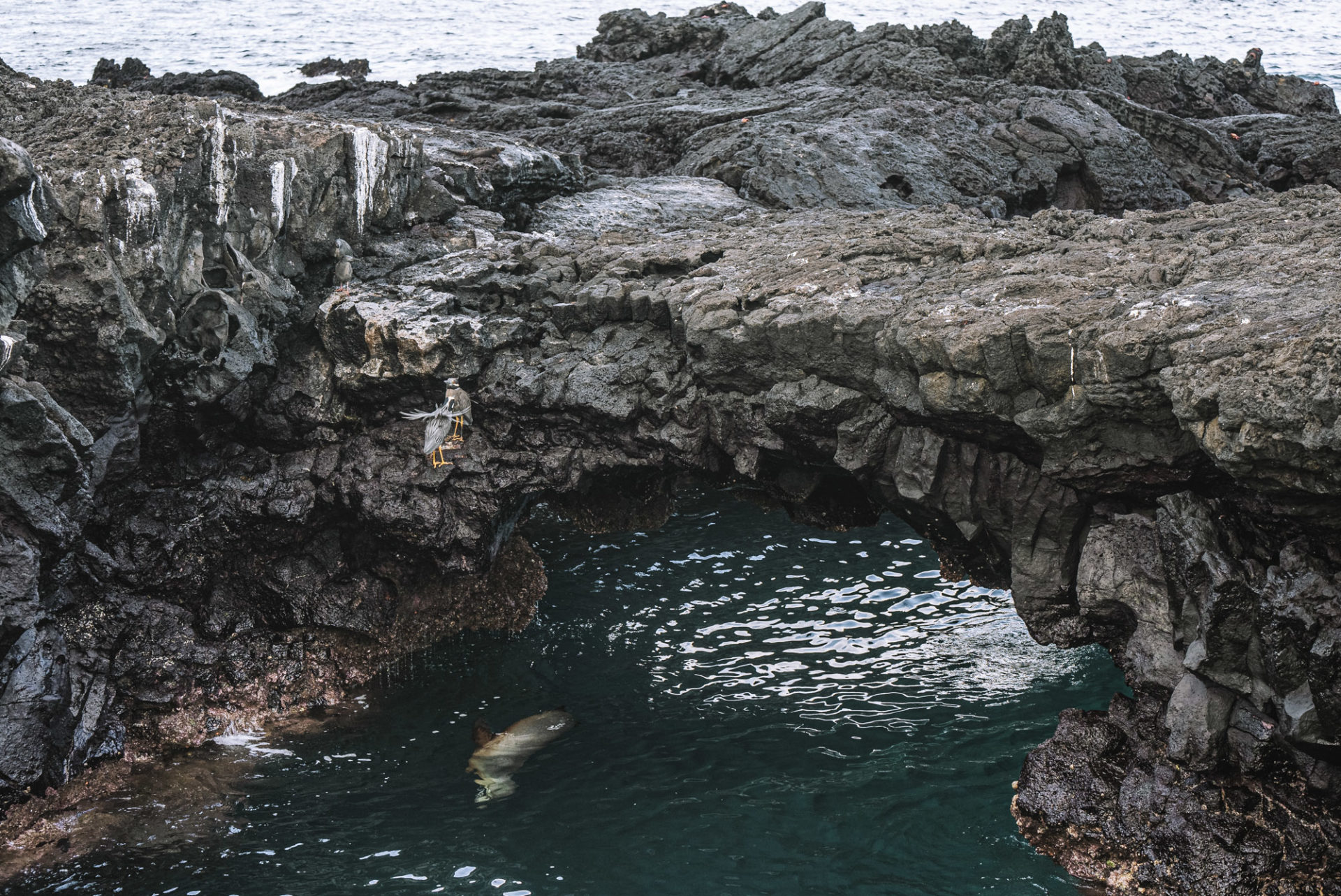 puerto egas, Galapagos Cruise