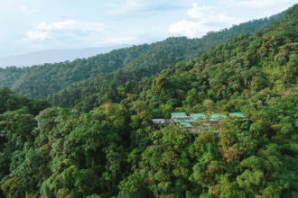 Mashpi Lodge Reserve: Our Unique Stay in the Heart of Ecuador Rainforest