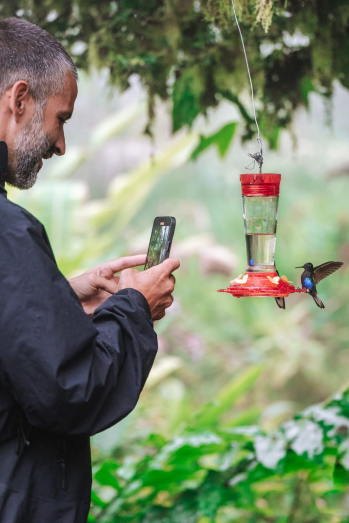 Ecuador Mashpi Reserve Lodge hummingbird Max 06939