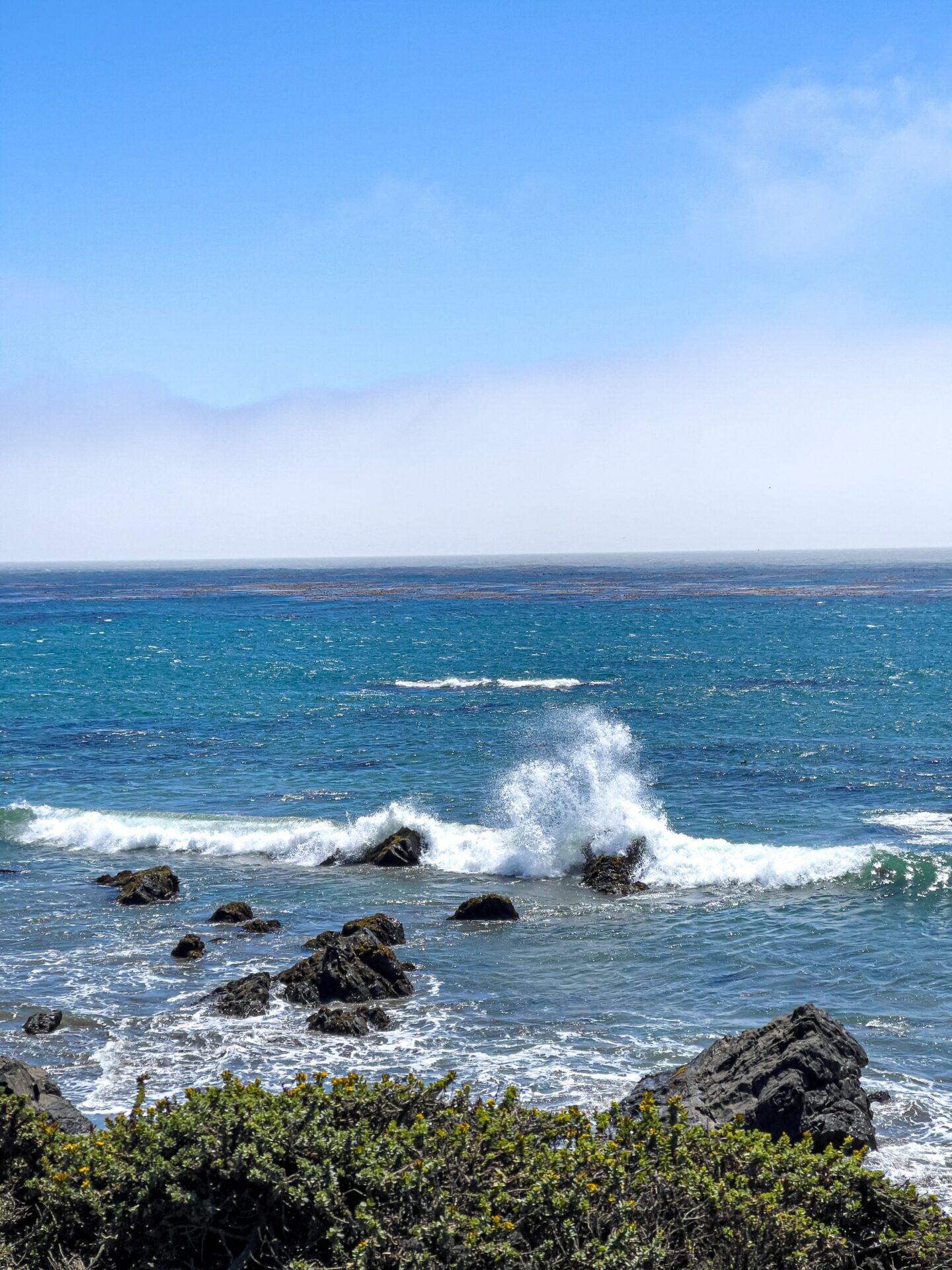 Elephant Seal Vista Point San Luis Obispo California