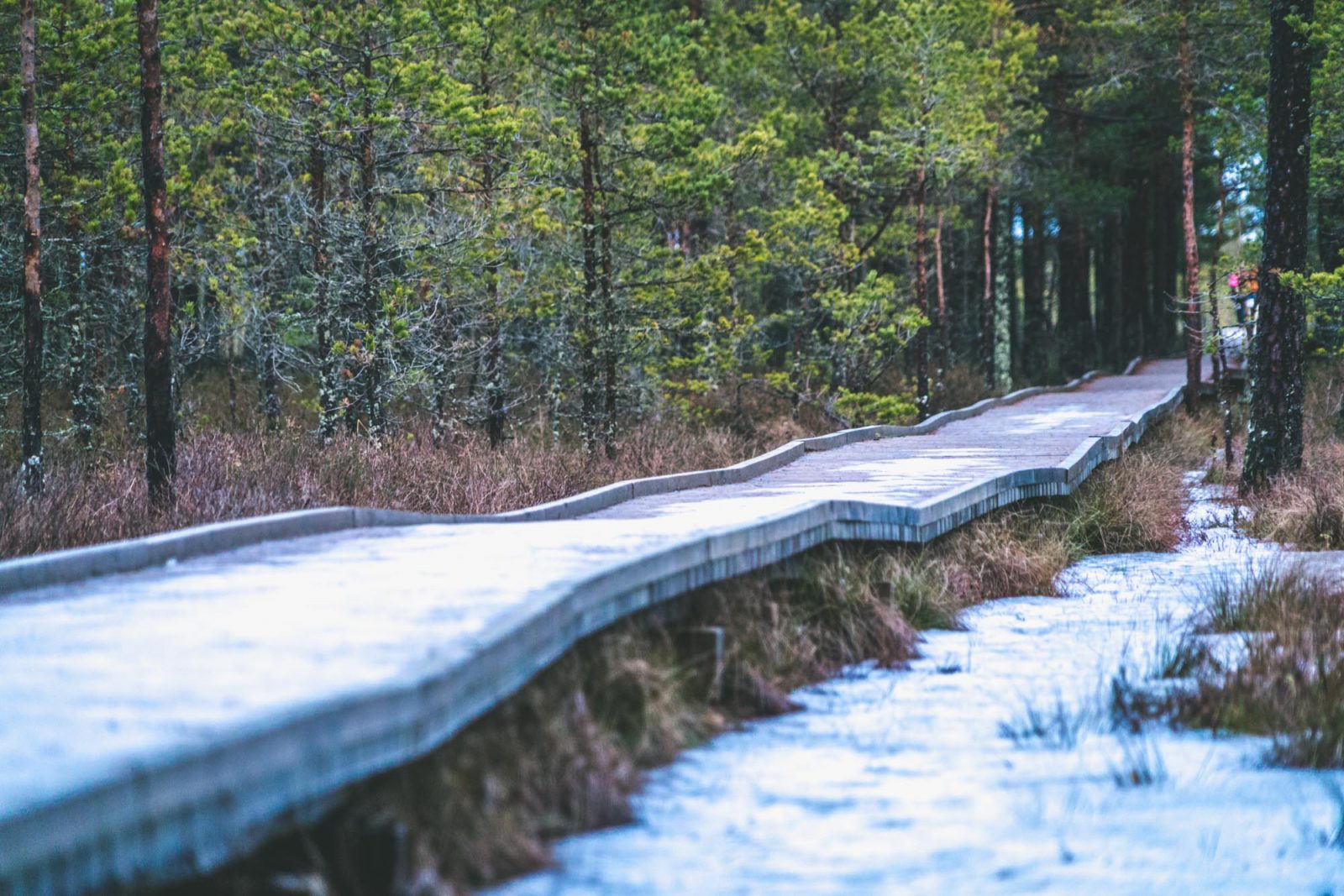 Things to do in Tallinn: Lahemaa National Park