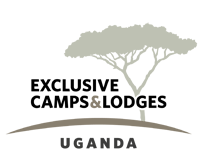 Exclusive-Camps-Logo-200-wide