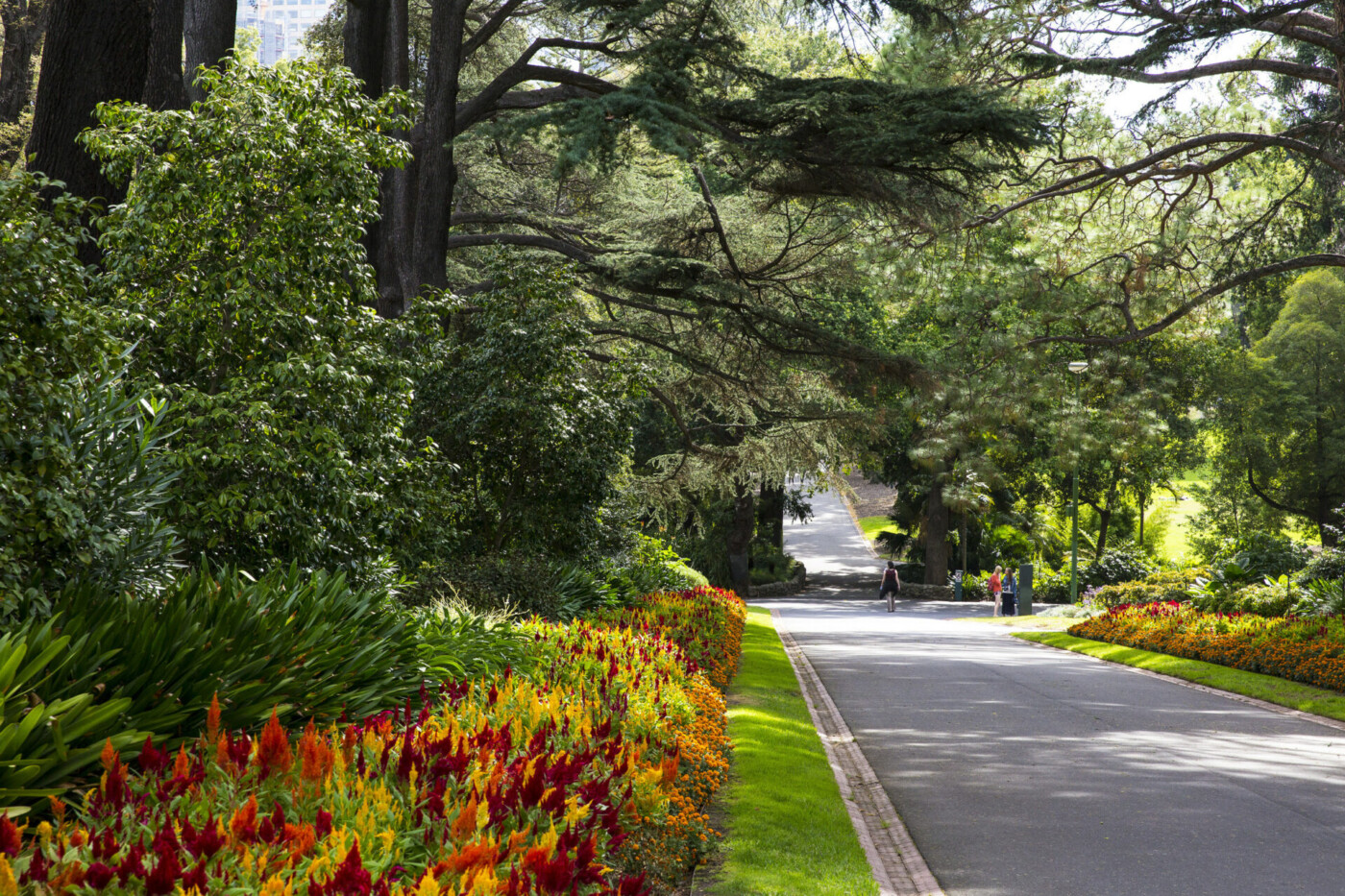 Fitzroy Gardens East Melbourne Melbourne