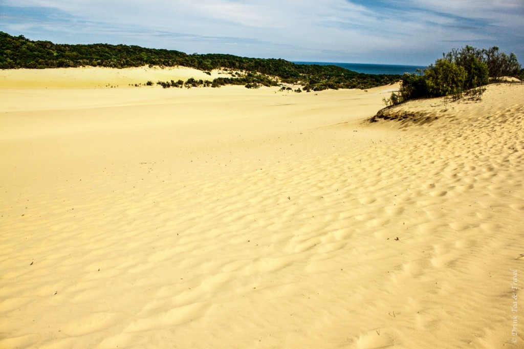 Fraser Island Tour: Hammerstone Sandblow on the way to Lake Wabby