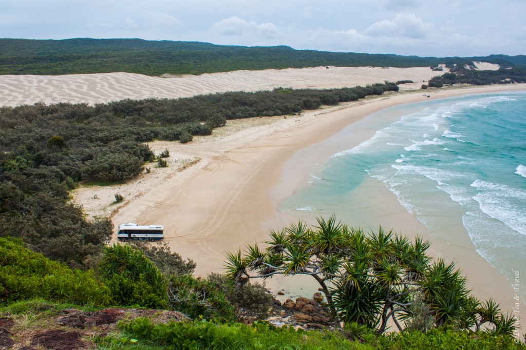 Camping on Fraser Island: View from the top of Indian Head, Fraser Island