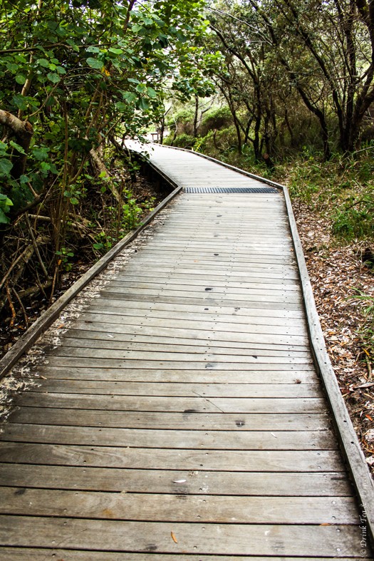 Fraser Island Tour: Board walk at Eli Creek