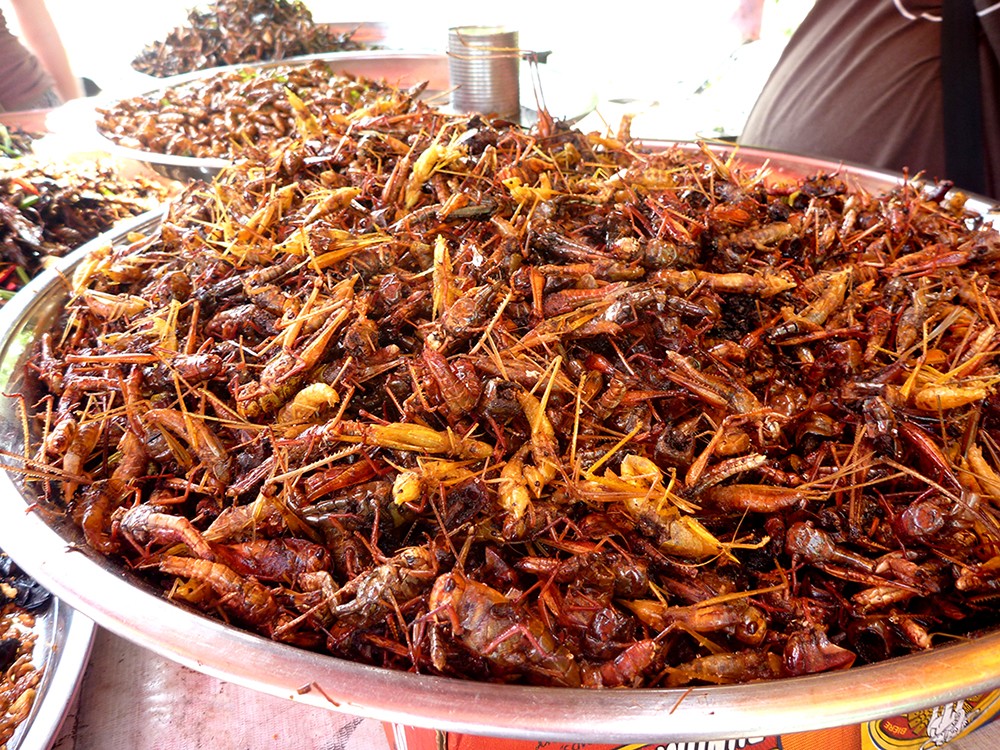 Fried Grasshoppers, Food in Cambodia