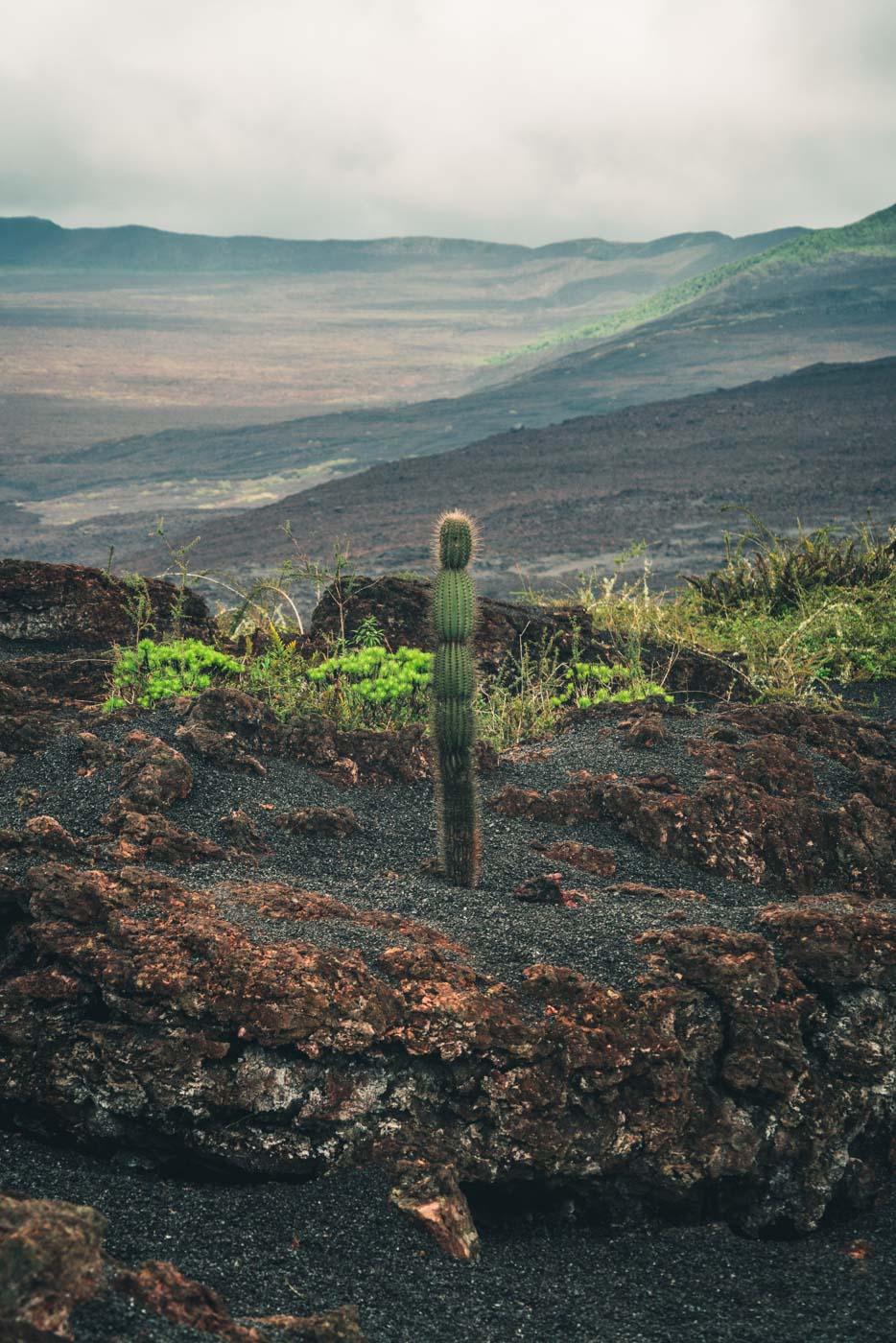 Galapagos Isabela Cerro Negro 3097