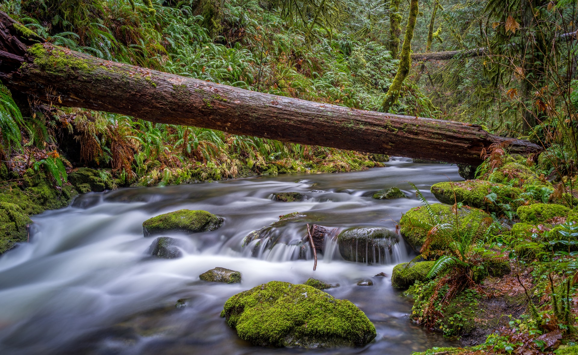 Goldstream Provincial Park Victoria BC