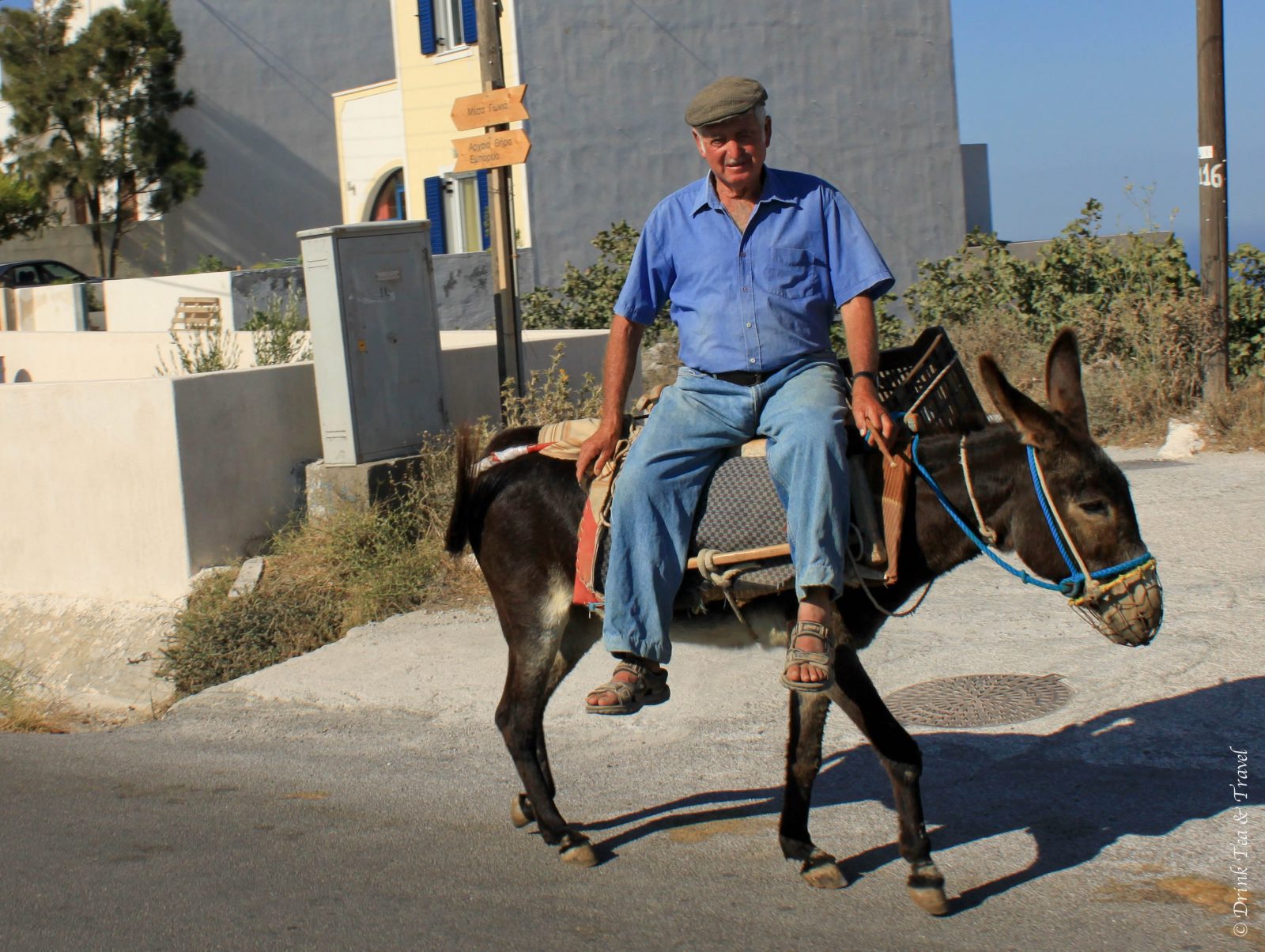 Cultural Close-Up: Donkey Ride in Santorini, Greece