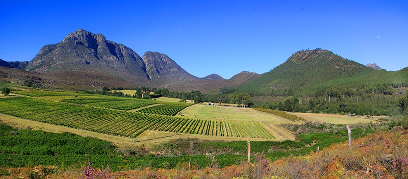 Herold Wines, George, Garden Route