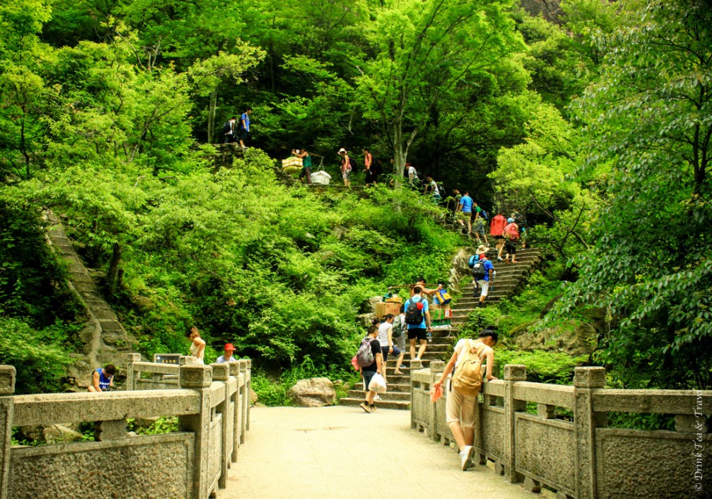 It's a tough climb up to Huangshan, but many Chinese still preferred it to waiting in the cable car line for 2 hours