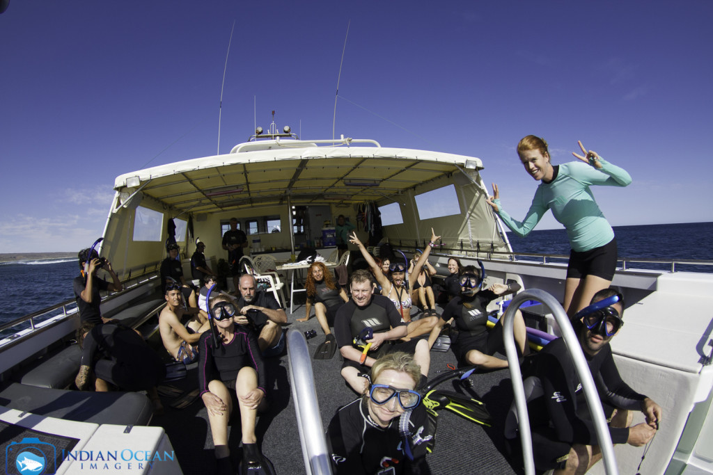Ready to jump in! Photo by Indian Ocean Imagery courtesy of Kings Ningaloo Reef Tour