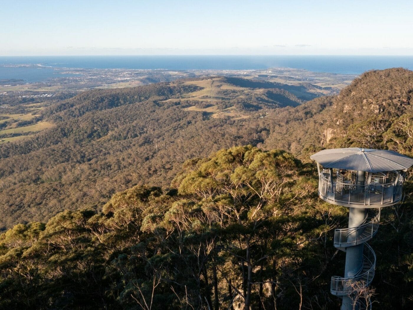 Illawarra Fly Treetop Adventures, things to do in wollongong