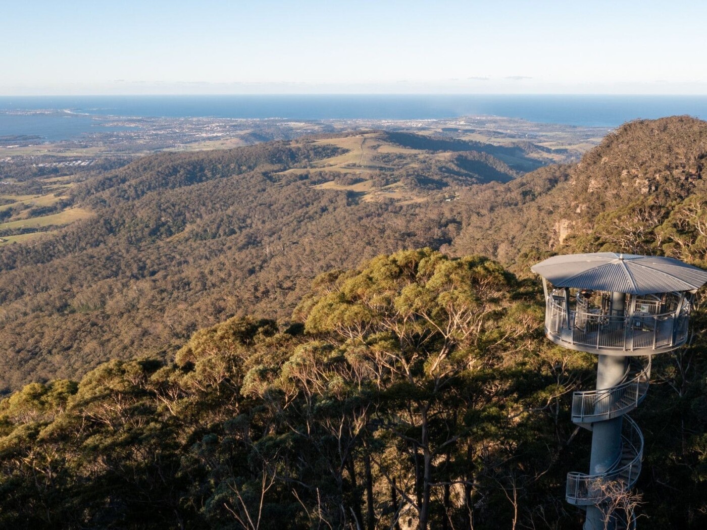 Illawarra Fly Treetop Adventures, things to do in wollongong