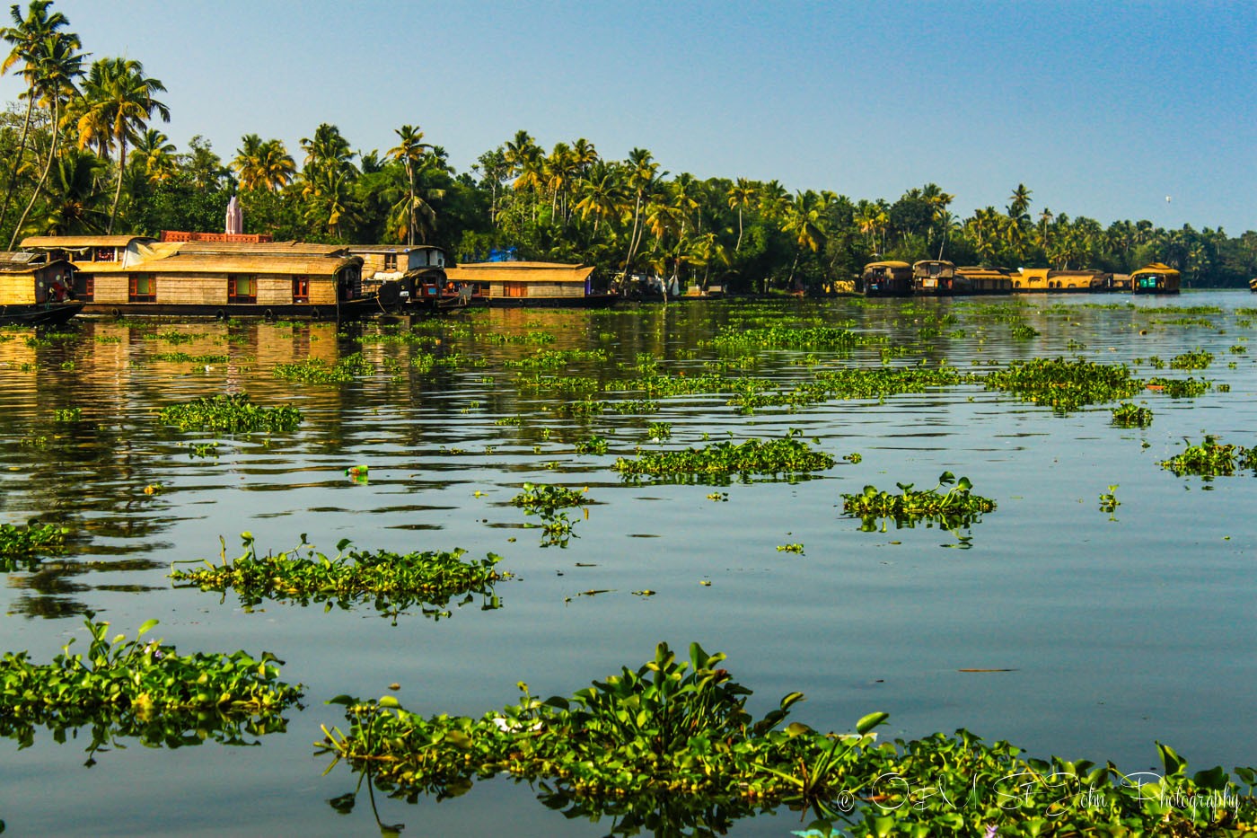 Photo Essay: Sailing Through Kerala Backwaters in India