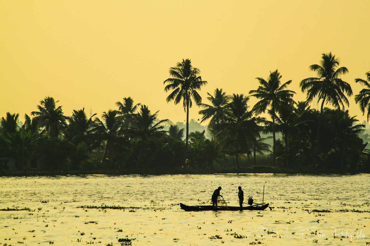 Local fisherman at sunset. Kerala Backwaters. India