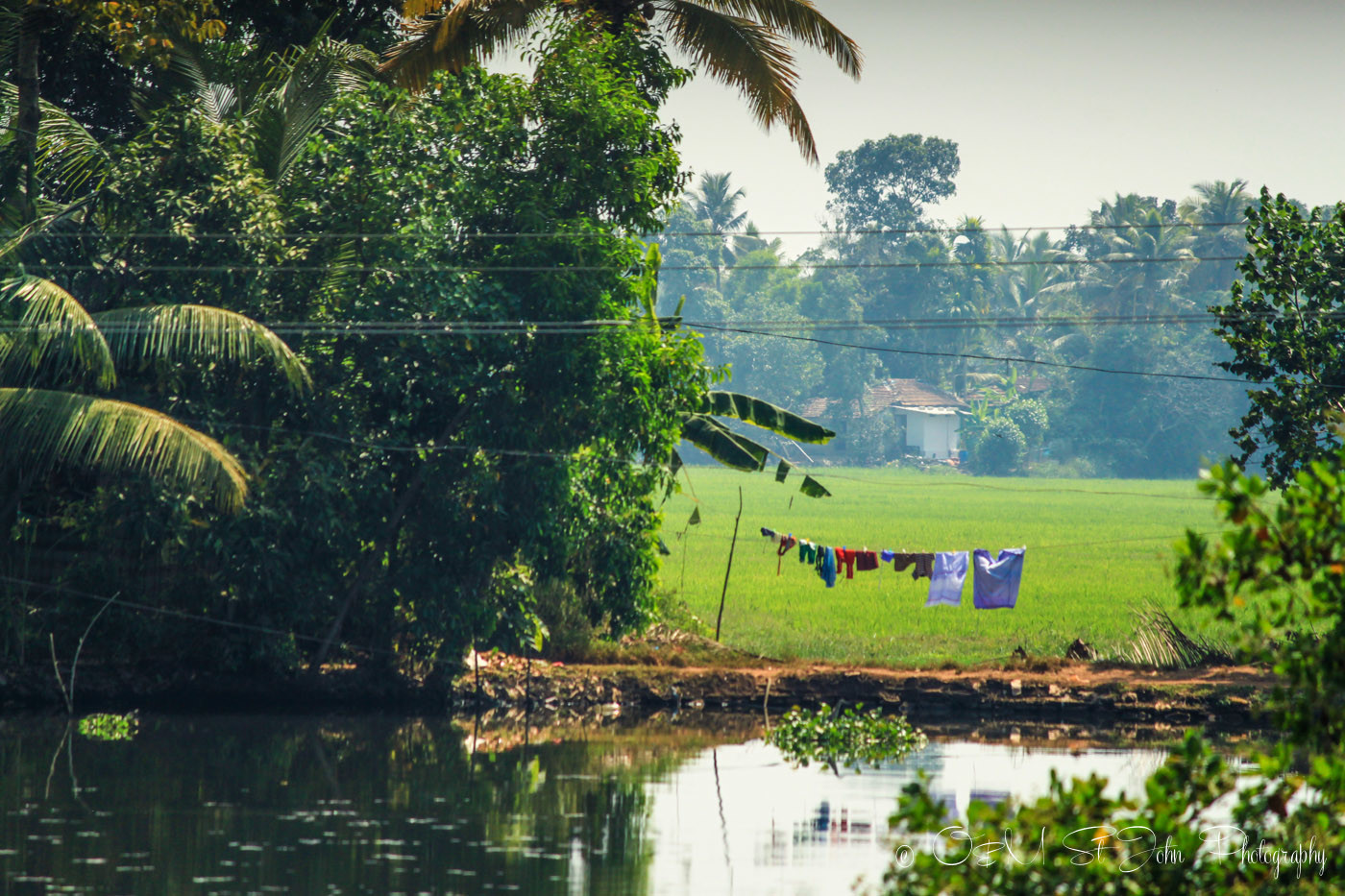 Kerala Backwaters. India