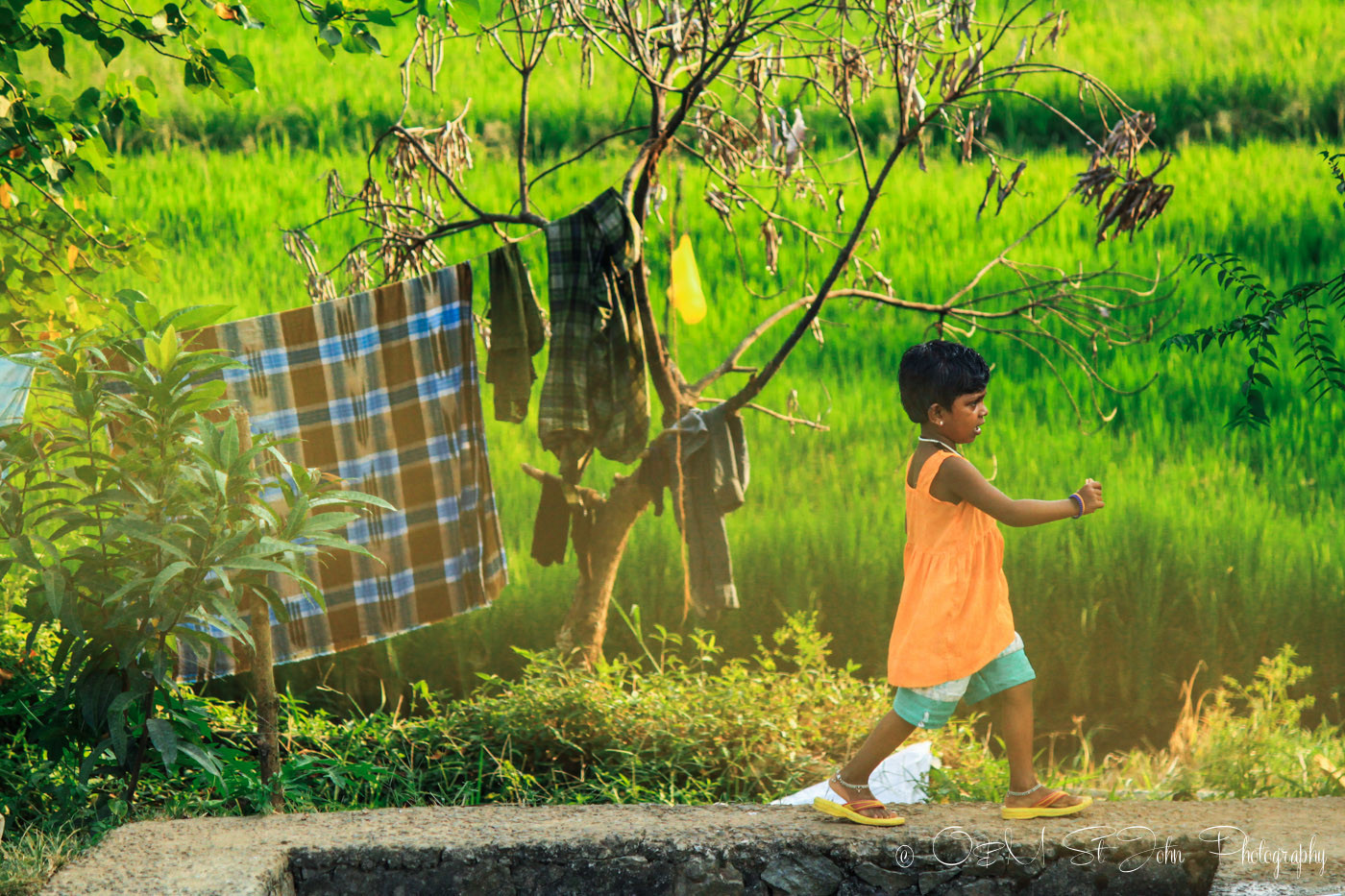 Local girl strolling along the river. Kerala Backwaters. India