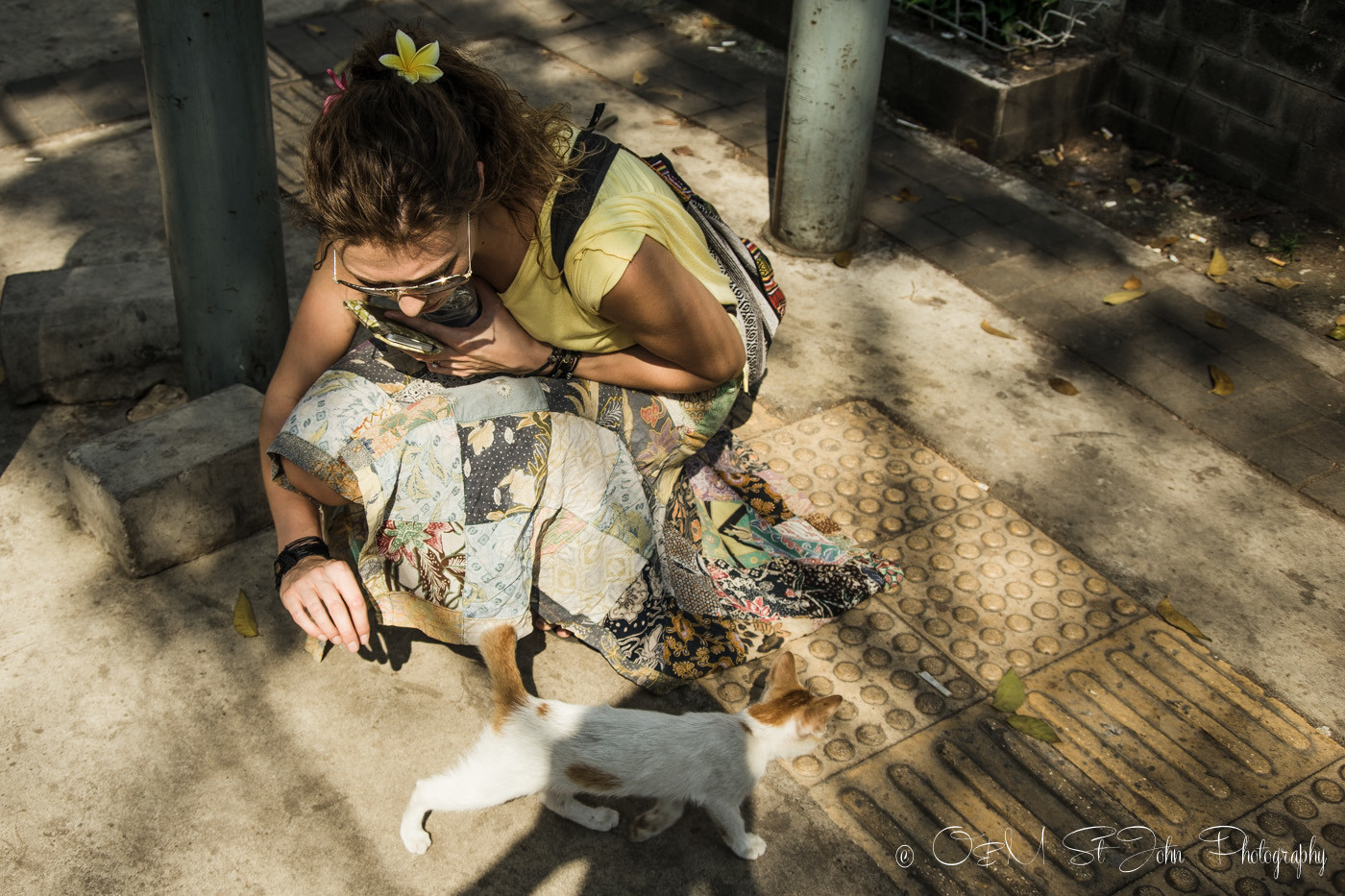 Making friends with a stubby ailed cat ont he street in Jakarta, Indonesia