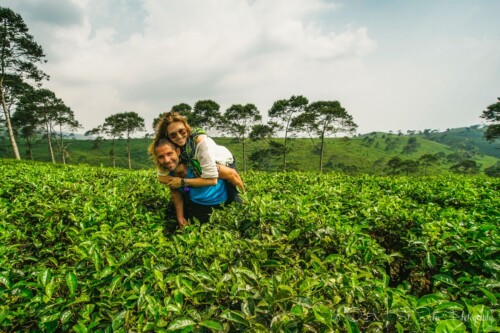 Drink Tea & Travel Turns 2 Years Old