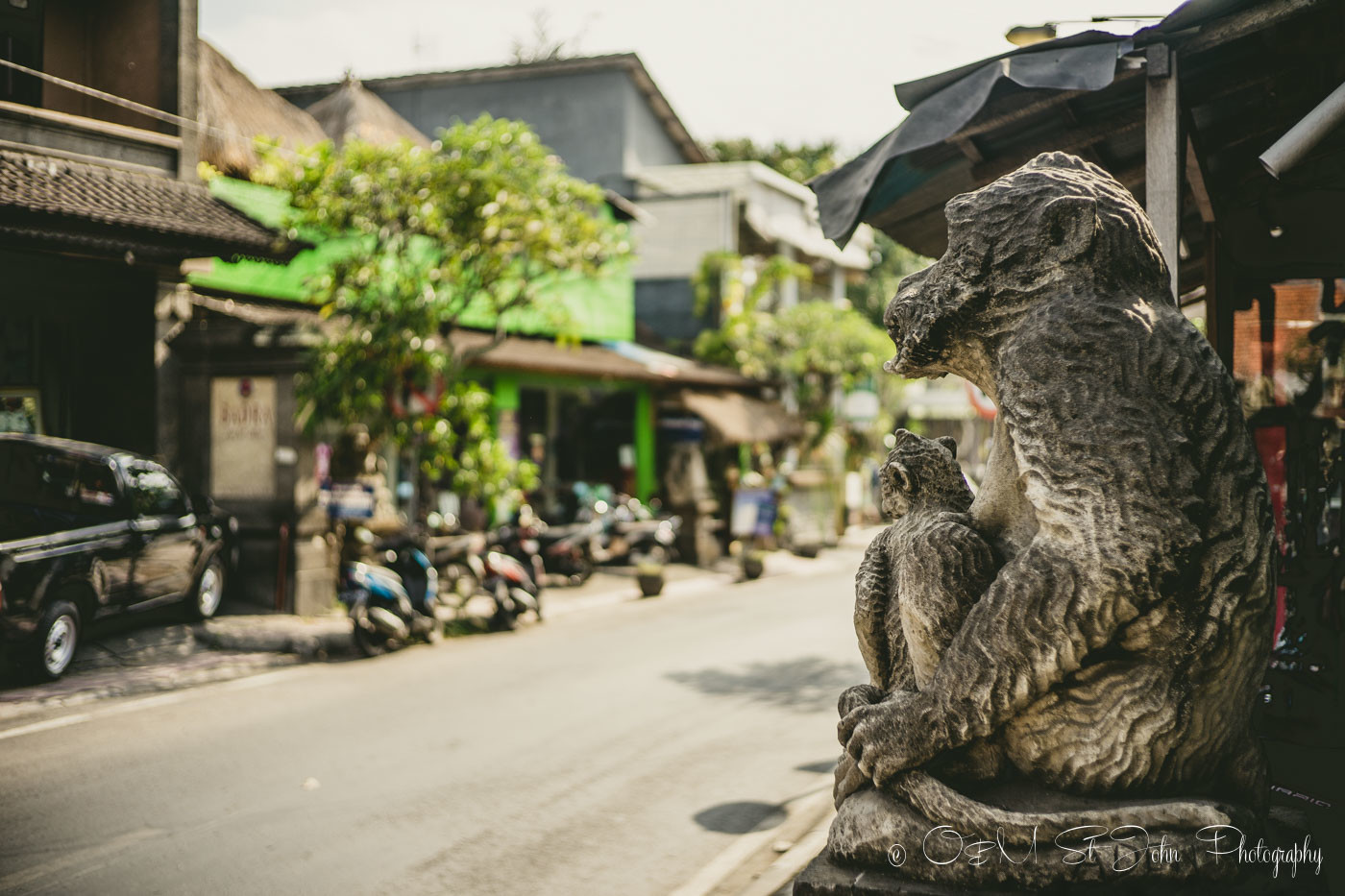 Street in Ubud, Bali