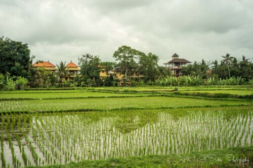 where to stay in bali indonesia