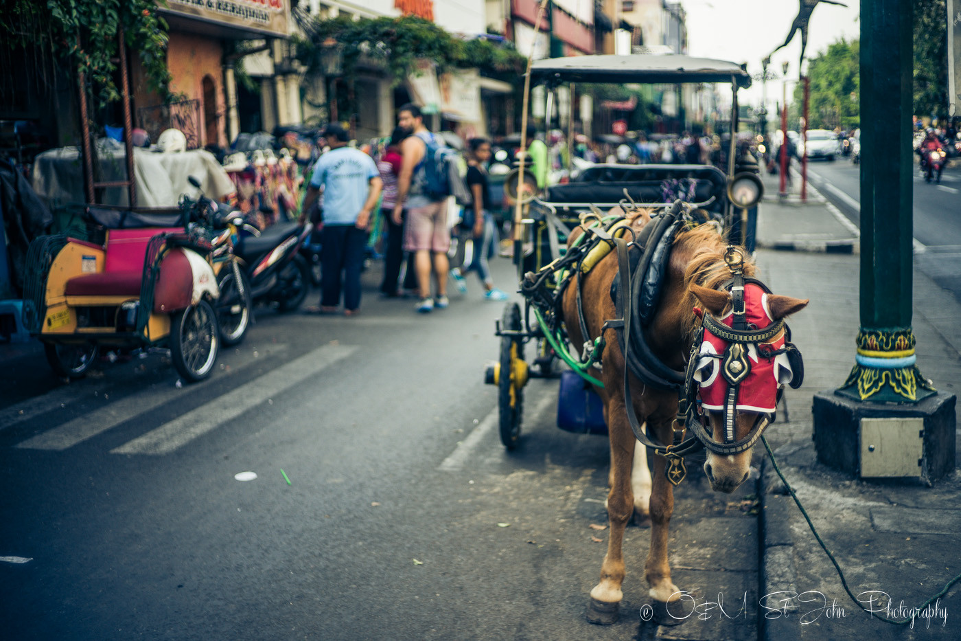Horse carriage on Jalan Malioboro. Yogyakarta. Java. Indonesia
