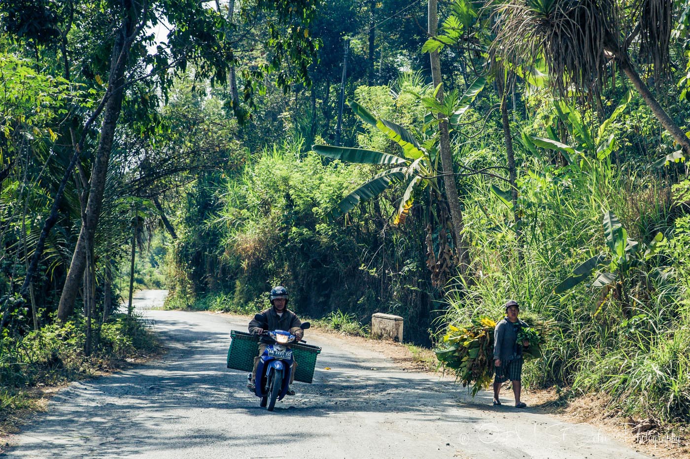 Sharing the road with the locals. outside of Yogyakarta. Java. Indonesia