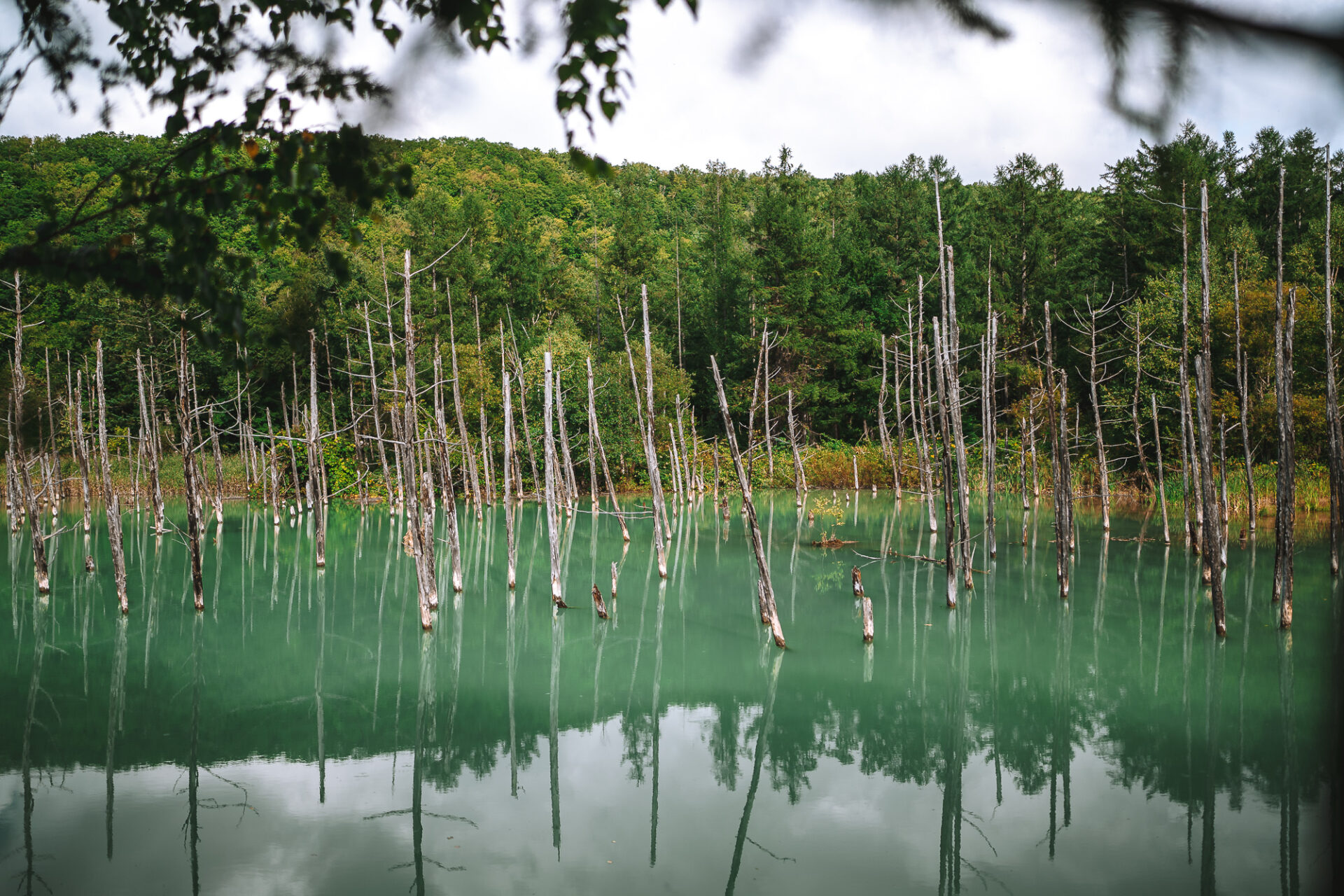 Shirogane Blue Pond