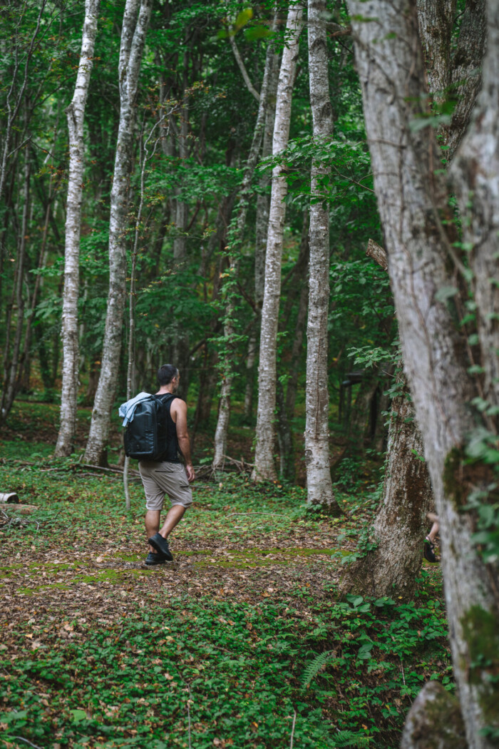 At the Kuromatsunai Beech Forest