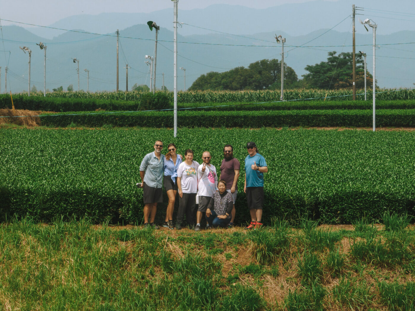Japan Kyushu Kuma Valley tea field group-0936
