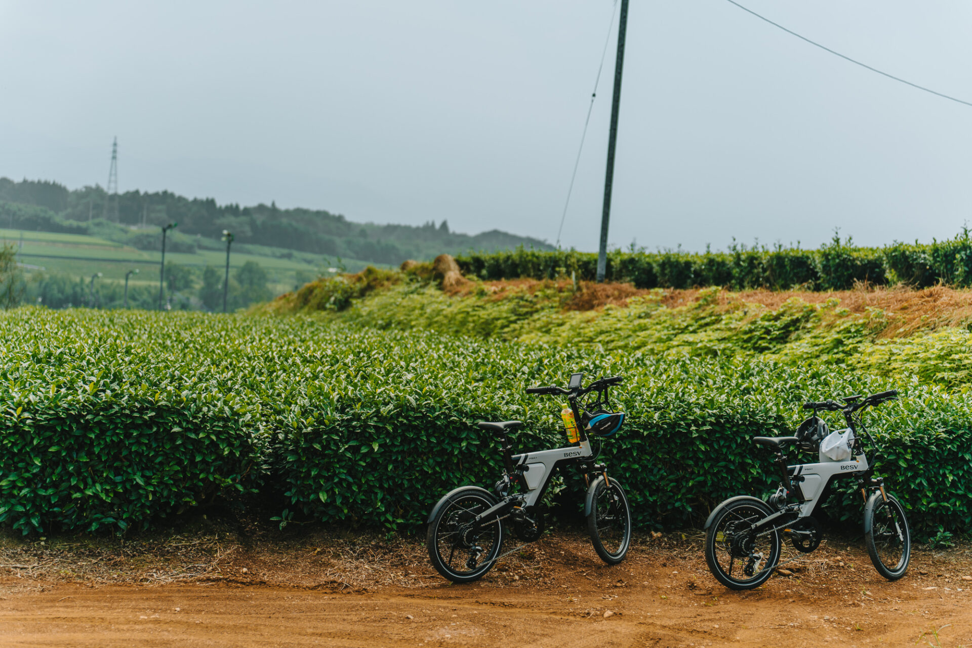 Japan Kyushu Kuma Valley tea plantation bikes 06117