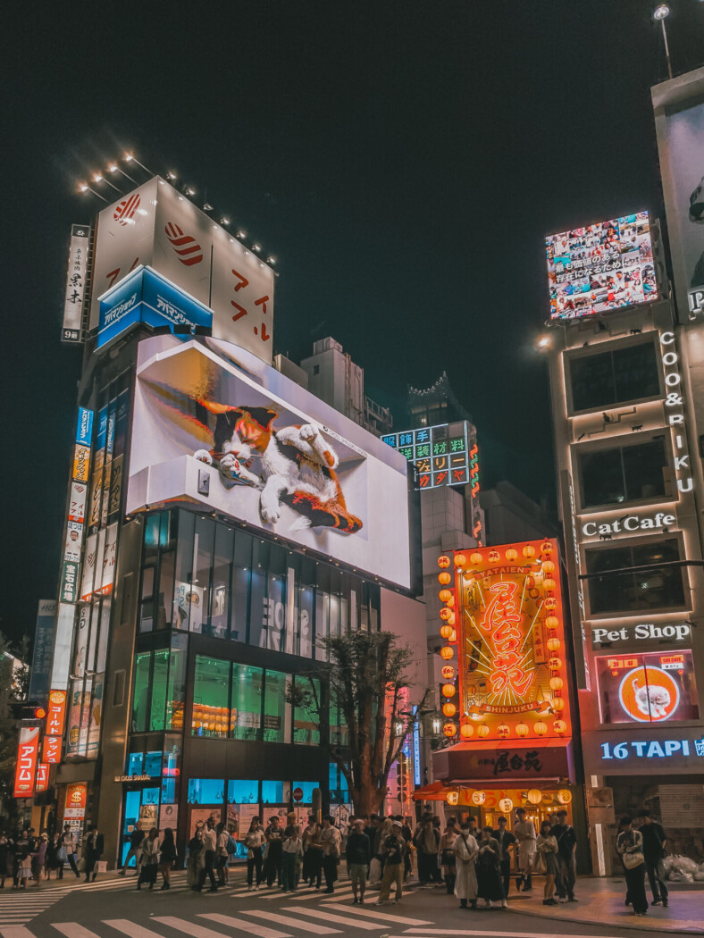 Shinjuku at night